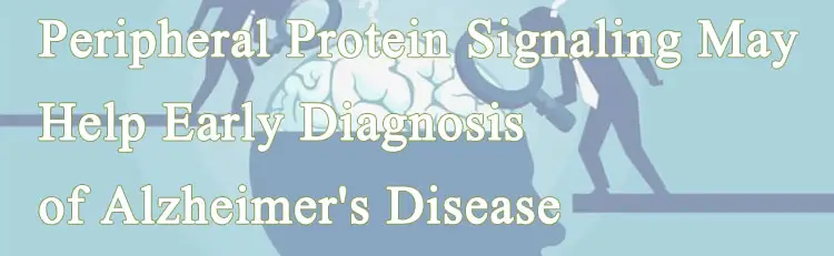 2-Peripheral-Protein-Signaling-May-Help-Early-Diagnosis-of-Alzheimer's-Disease.webp